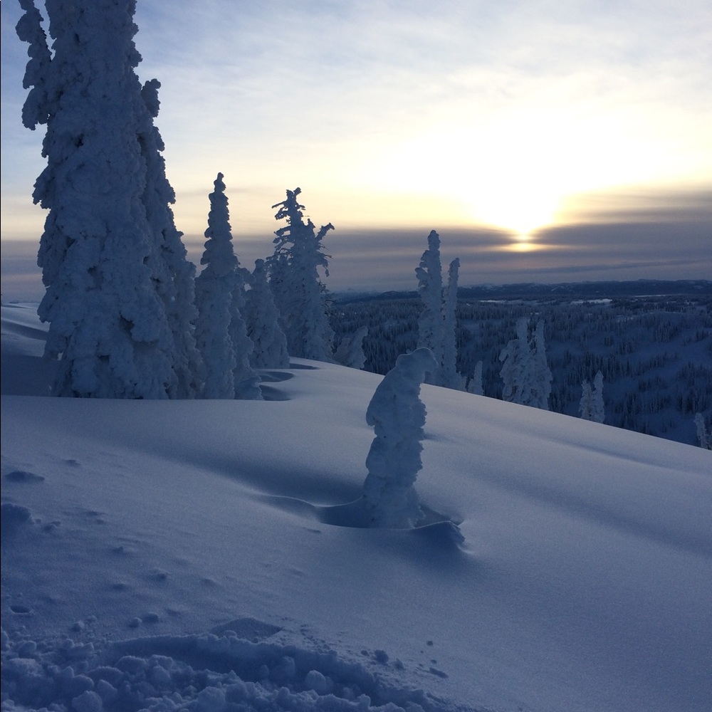 Meet your Posher, Erica